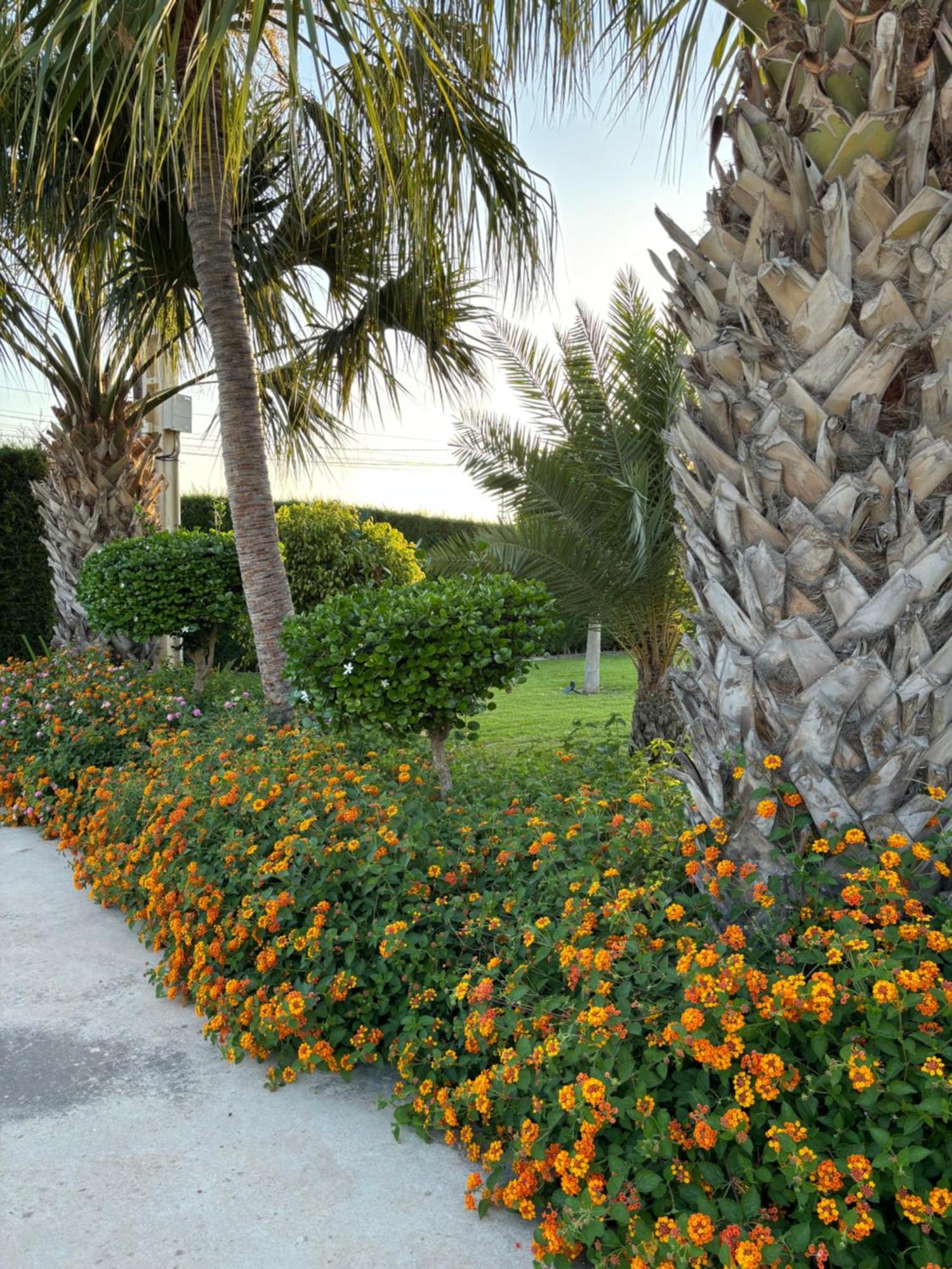 Casa Joan Villa Elche Eksteriør bilde