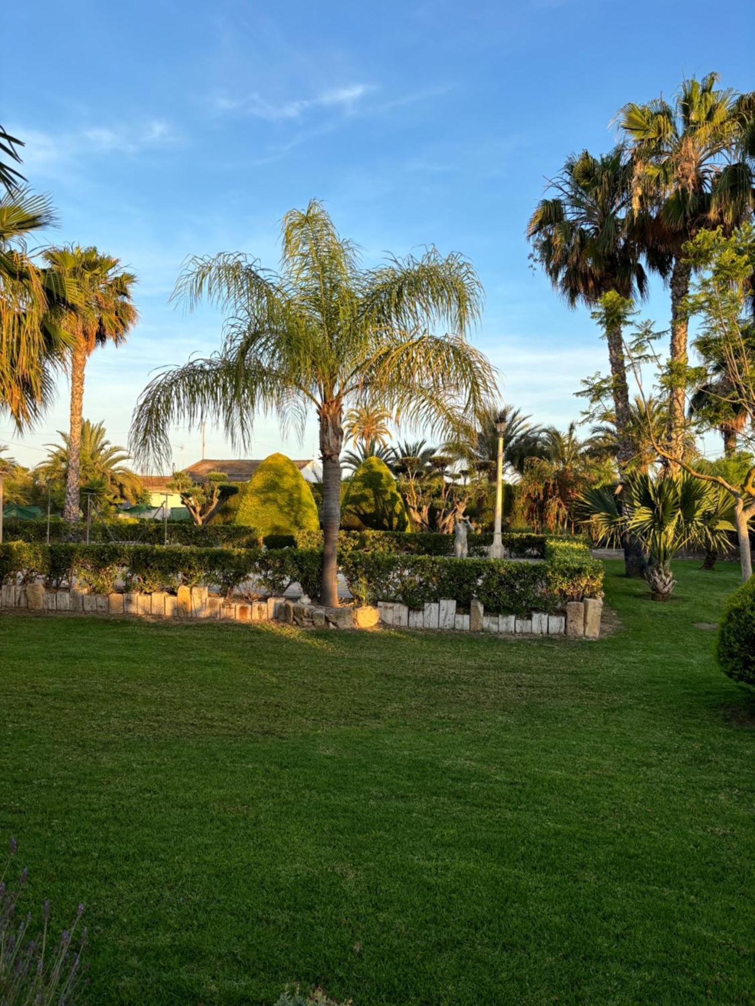 Casa Joan Villa Elche Eksteriør bilde