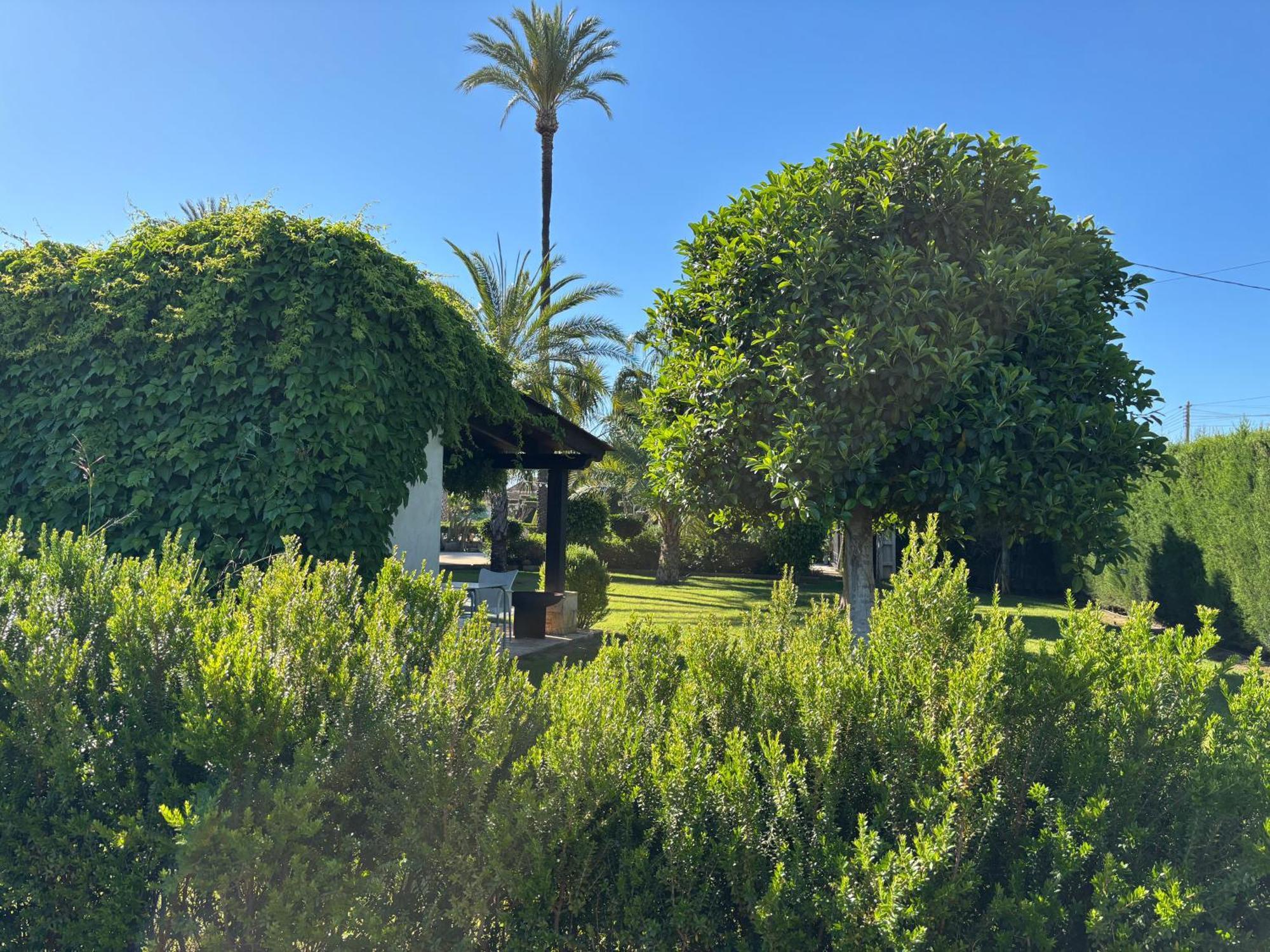 Casa Joan Villa Elche Eksteriør bilde