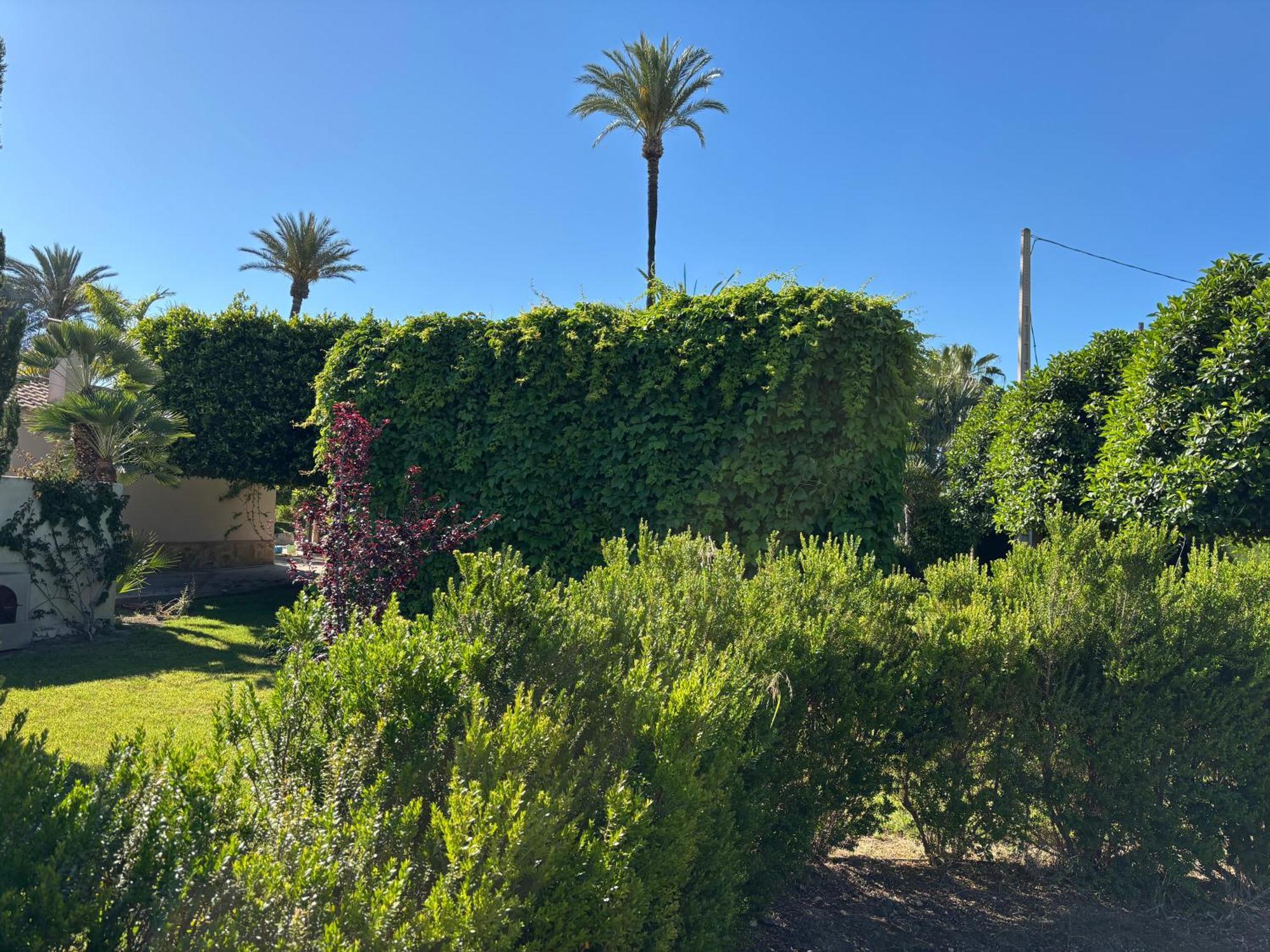 Casa Joan Villa Elche Eksteriør bilde